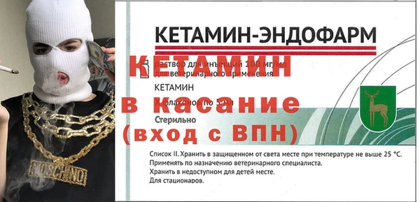 ПСИЛОЦИБИНОВЫЕ ГРИБЫ Вязники
