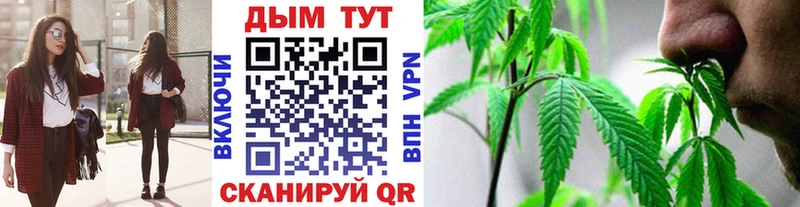 Шишки марихуана планчик Пересвет